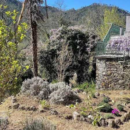 Historical Close To Cinque Terre *
